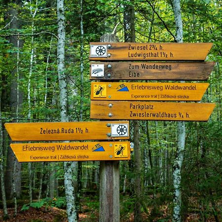 Grosser Arber, Wandern & Sauna, Gemuetliches Apartment Im Nationalpark Bayerischen Wald Lindberg Kültér fotó