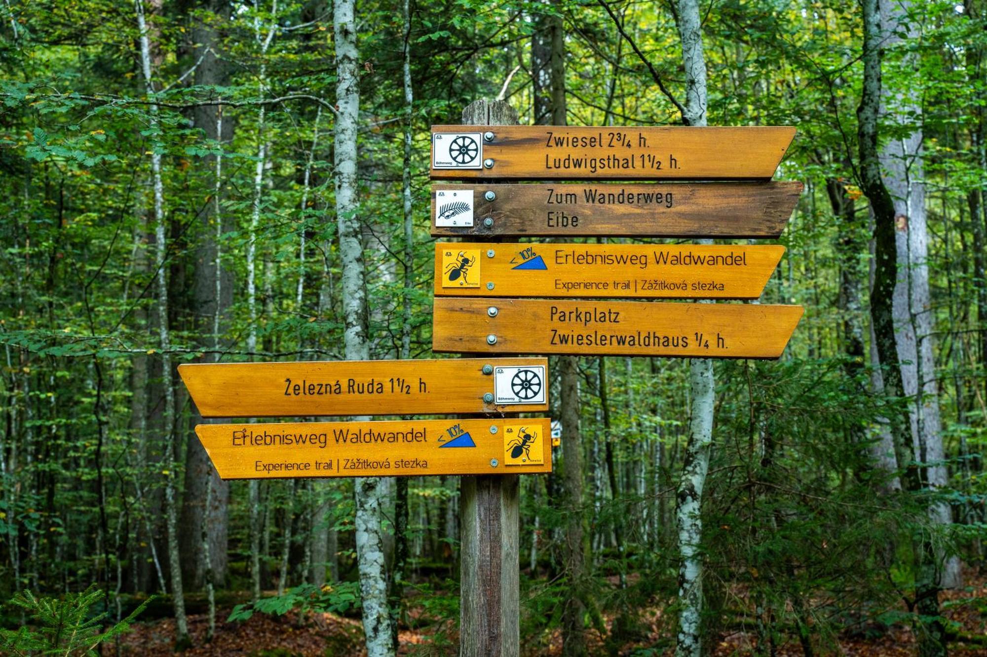Grosser Arber, Wandern & Sauna, Gemuetliches Apartment Im Nationalpark Bayerischen Wald Lindberg Kültér fotó